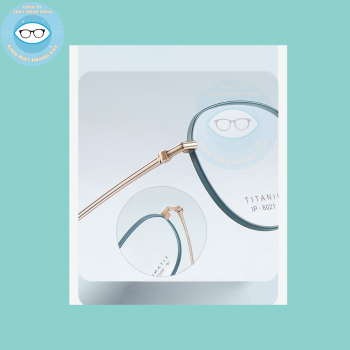 Gọng kim loại mã 6021